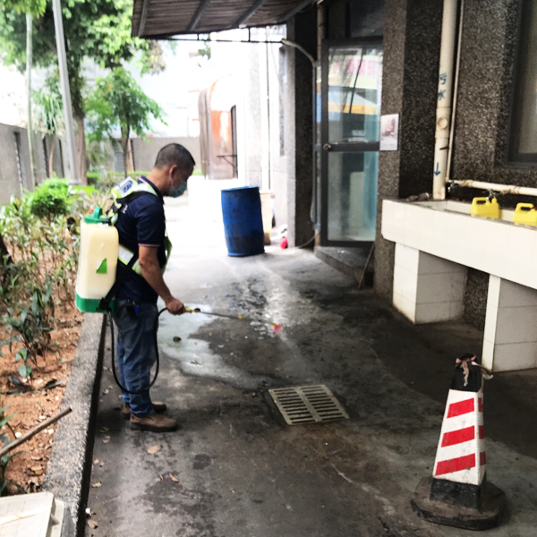 石碣厕所杀虫灭鼠