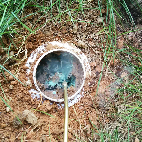 室外白蚁防治