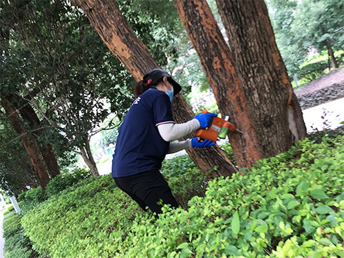 有消除白蚁最好方法吗？