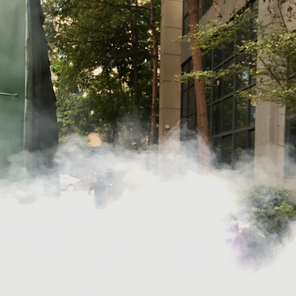 石碣室外杀虫灭鼠