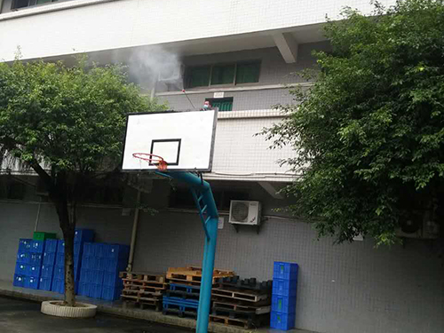 宿舍白蚁防治