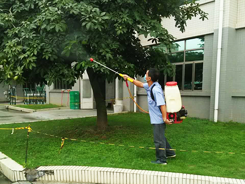 绿化带白蚁防治