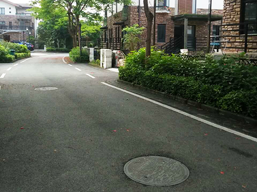 街道白蚁防治
