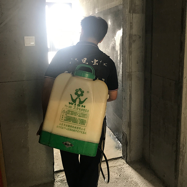 塘厦白蚁防治